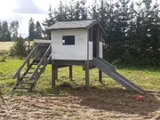Annonsbild