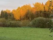 Annonsbild