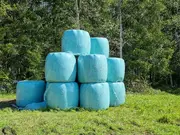 Annonsbild