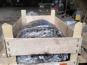 Annonsbild