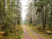 Annonsbild