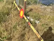 Annonsbild