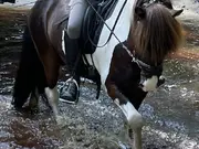 Annonsbild