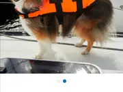 Annonsbild