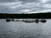 Annonsbild