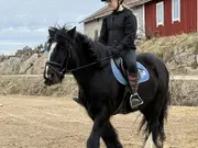 Annonsbild