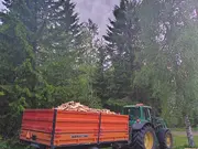 Annonsbild