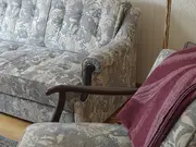 Annonsbild