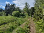 Annonsbild