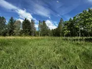 Annonsbild