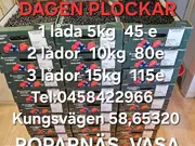 Annonsbild