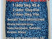Annonsbild
