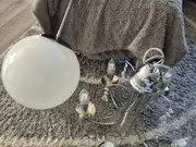 Annonsbild