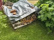 Annonsbild
