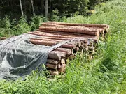 Annonsbild