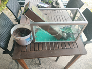 Annonsbild