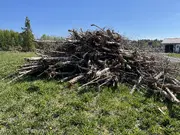 Annonsbild
