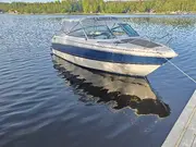 Annonsbild