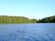 Annonsbild