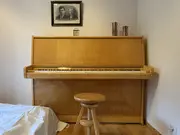 Annonsbild