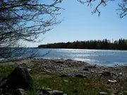Annonsbild