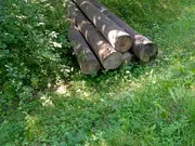 Annonsbild