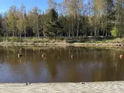 Annonsbild
