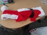 Annonsbild