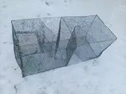 Annonsbild