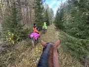 Annonsbild