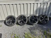 Annonsbild