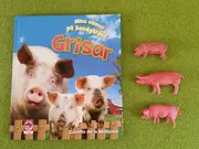 Annonsbild