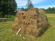 Annonsbild