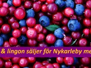 Annonsbild
