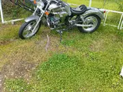 Annonsbild