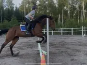 Annonsbild