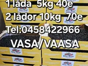 Annonsbild