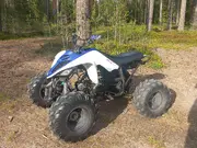 Annonsbild