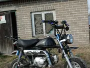 Annonsbild