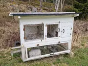 Annonsbild