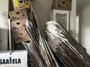 Annonsbild