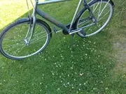 Annonsbild