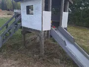 Annonsbild