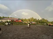 Annonsbild