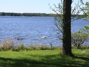 Annonsbild