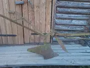 Annonsbild