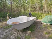 Annonsbild