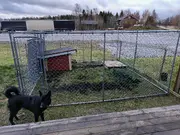 Annonsbild