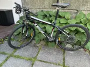 Annonsbild