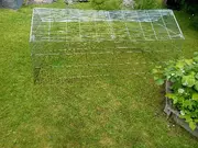 Annonsbild